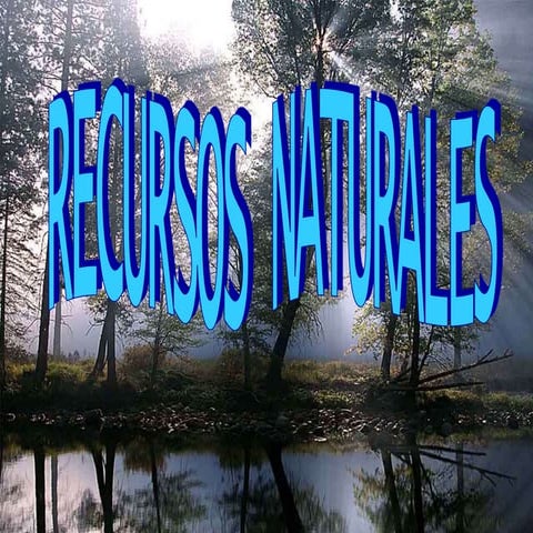 Recursos Naturales I