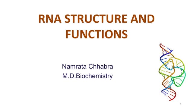 RNA  structure and functions
