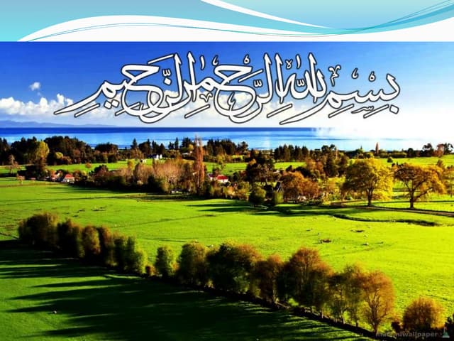 Role of media presentation