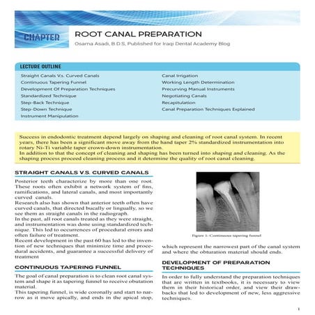 Root Canal Preparation Basics