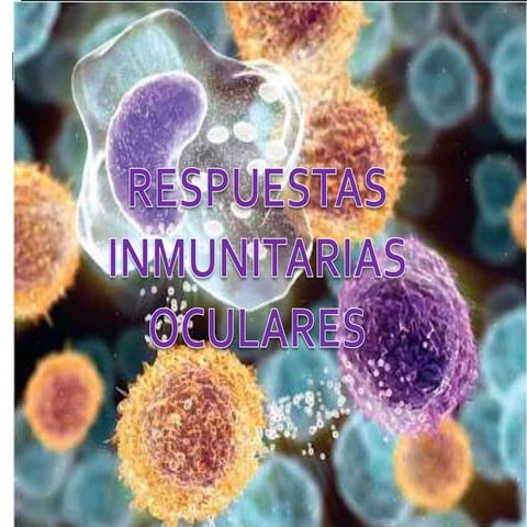 Respuesta inmune ocular