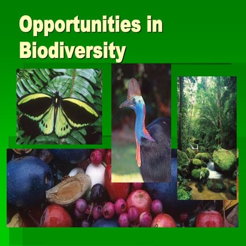 Russell biodiversity values