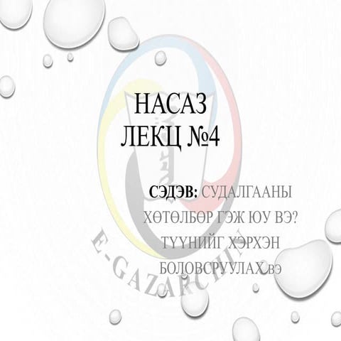 насаз Lek ts  №4