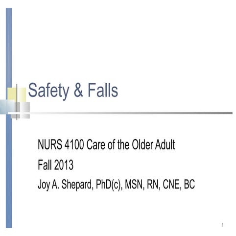 Safety & falls fall 2013 abridged