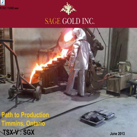 Sage june 2013__investor_presentation