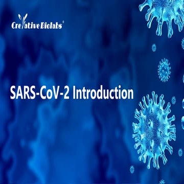 SARS-CoV-2 Introduction_Creative Biolabs