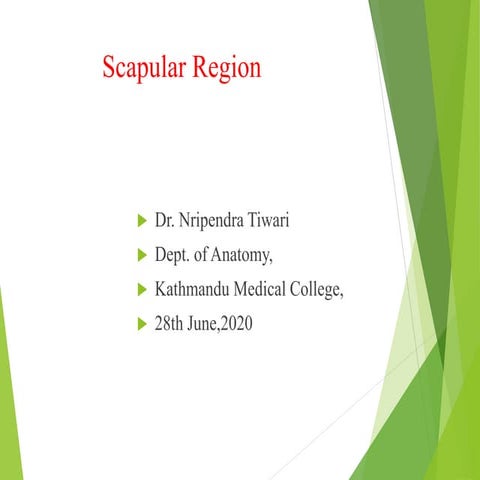 Scapular region 
