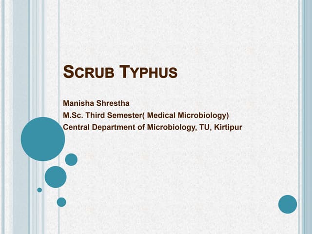 Scrub typhus