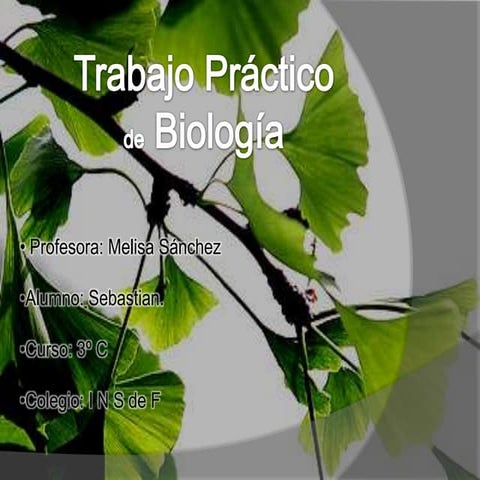 Tropismos, nastias y taxismos. INSF- Del Viso