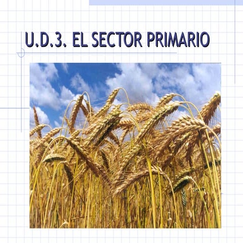 U.D.3. El sector primario