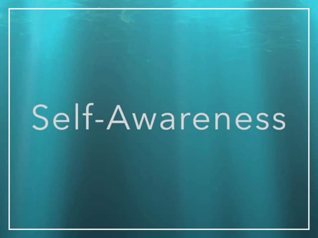 Self Awareness