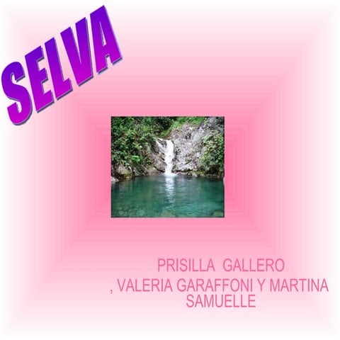 Bioma: Selva