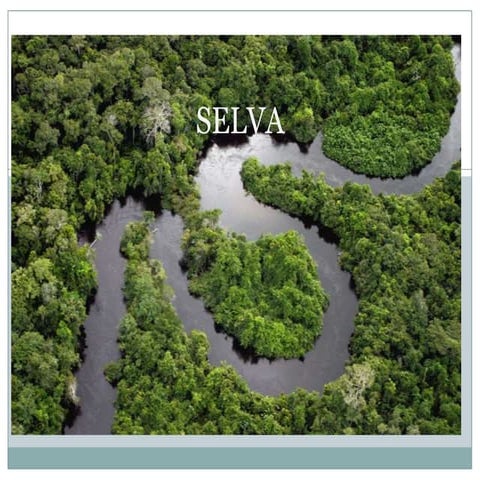 Selva (5)