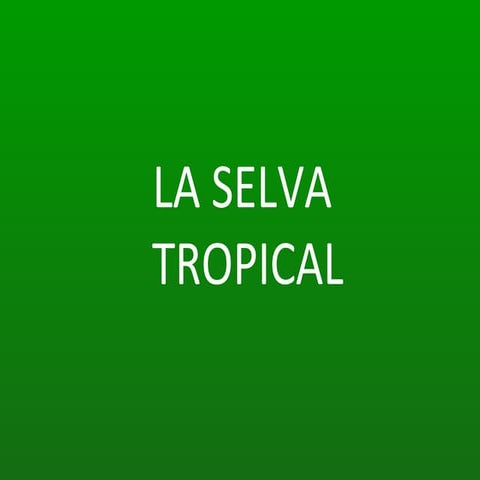 Selva tropical