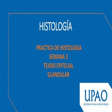 TEJIDO GLANDULAR PREESENTACION INCLUYE LAMINAS