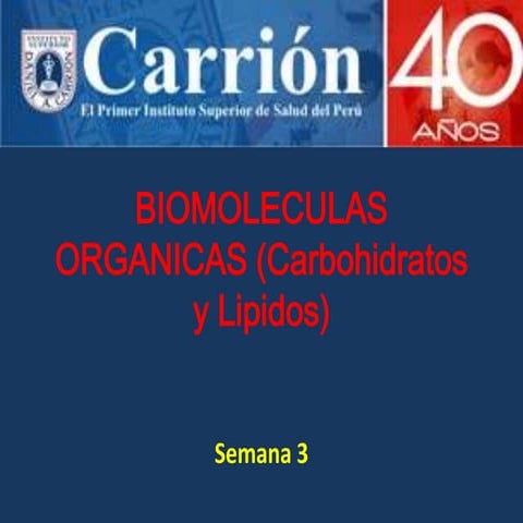 Carbohidratos y lipidos