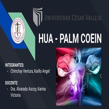 EXPOSICIÓN magistral: HUA - PALM COEIN - C2P5