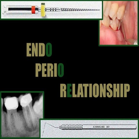 Endodontic Periodontal Relationship, ENDO PERIO LESION