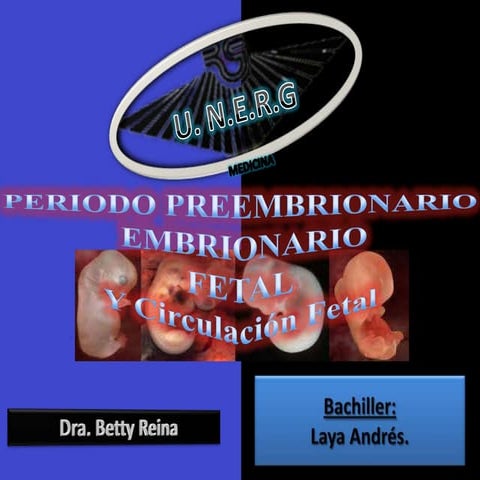 PERIODO PREEMBRIONARIO  EMBRIONARIO FETAL Y Circulación Fetal