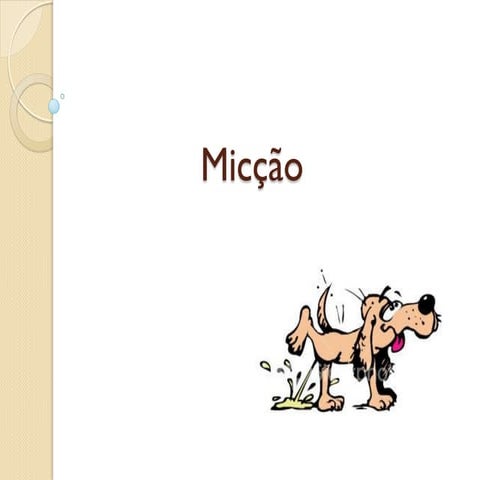 Seminario de fisiologia reflexo da micção