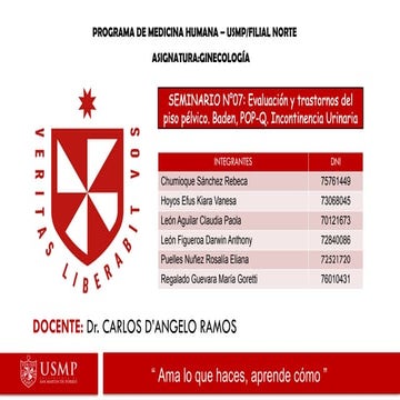 SEMINARIO N°7 - POPQ E INCONTINENCIA URINARIA.pptx