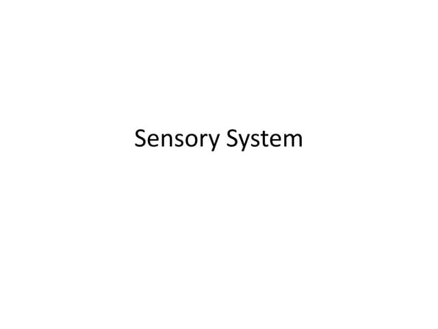 Sensory system