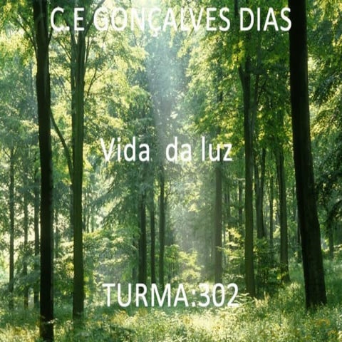 Evolução das plantas Briofitas,Pteridofitas,Gimnospermas e Angiospermas