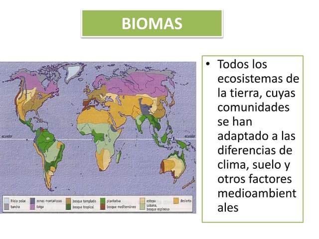 Sesión. biomas y ecosistemas de ecuador