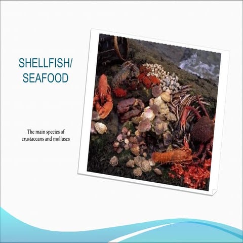 Shellfish