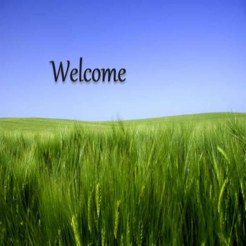 Double Haploids in crop improvement. 