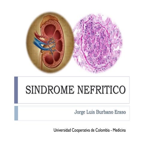Sindrome nefritico