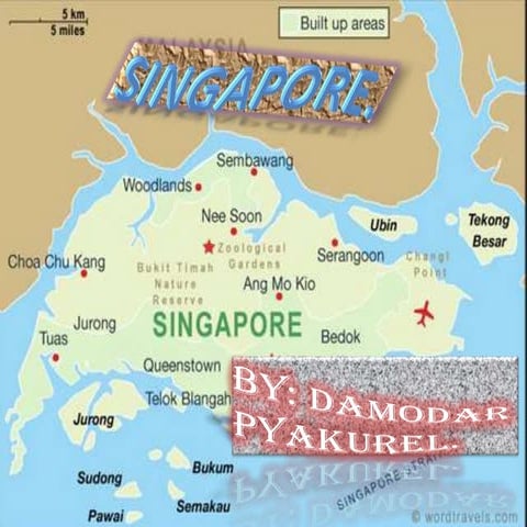 Singapore education system.