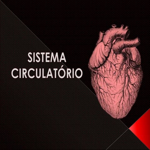 Sistema circulatório