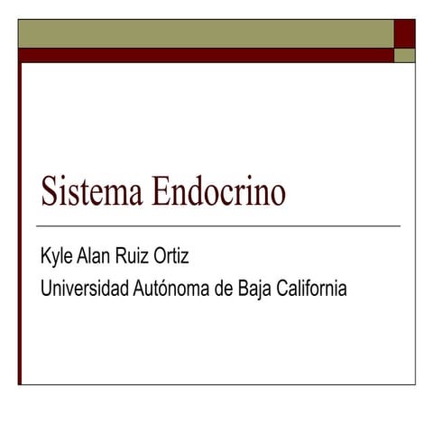 Sistema endocrino