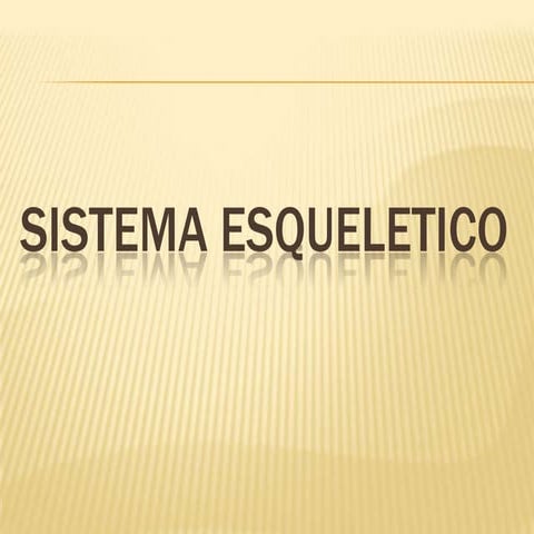 Sistema esquelético 