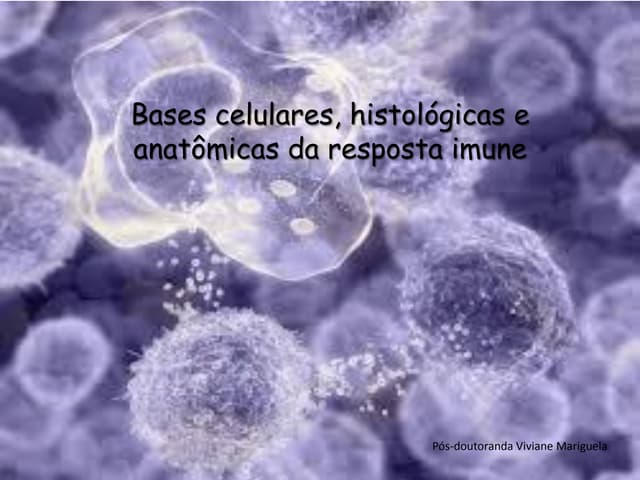 Anatomia do Sistema Imunológico Humana.pdf