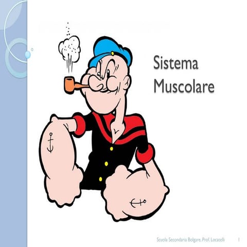 Sistema muscolare
