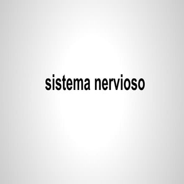 Sistema nervioso