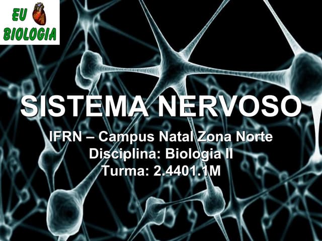 Sistema nervoso