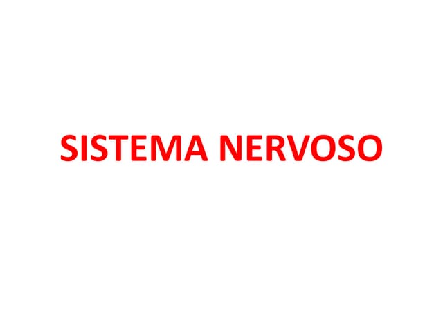 Sistema Nervoso .ppt