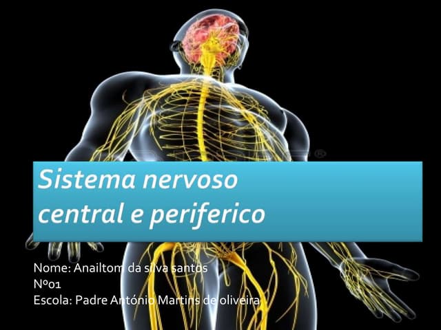 Sistema Nervoso