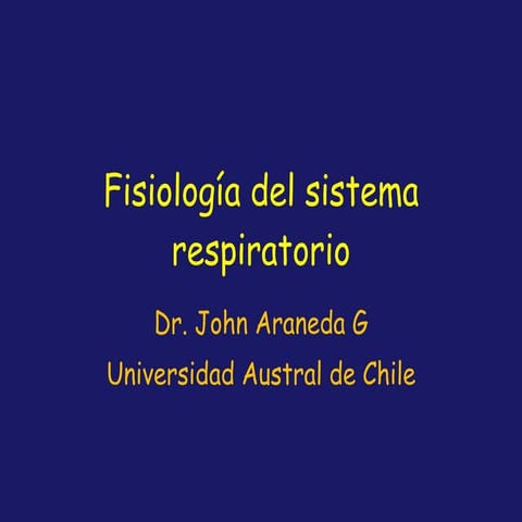 Sistema Respiratorio