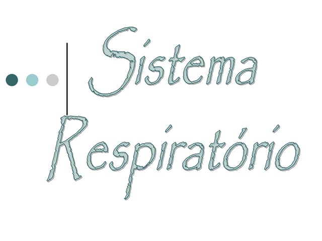 Sistema respiratório