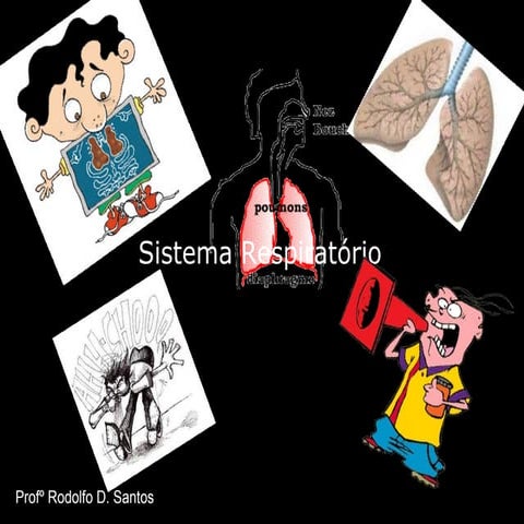 Sistema respiratório 8º ano