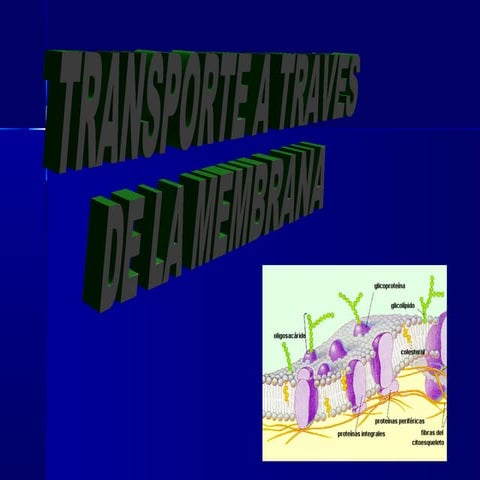 Sistemas de transporte a través de la m.c.