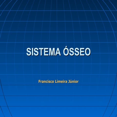 Sistema Ósseo