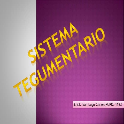 Sistema tegumentario