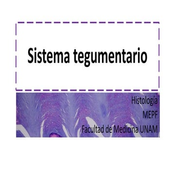 Histología: Sistema tegumentario 