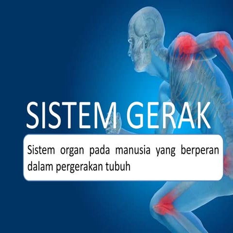 Sistem gerak