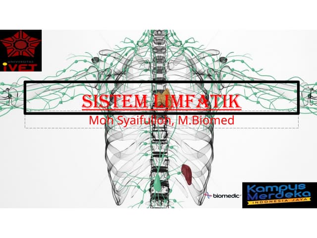 sistem limfatik pada manusia dan penjelasannya